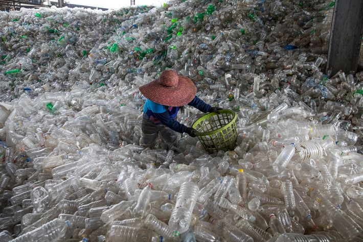 Comment donner une seconde vie à nos anciennes bouteilles en plastique