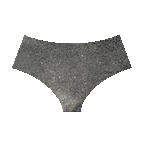 Monokini / culotte Tiger